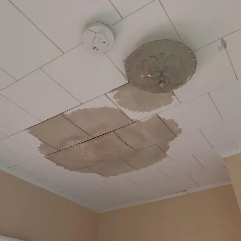 Ceiling Water Damage Repair in Winnebago County, IL