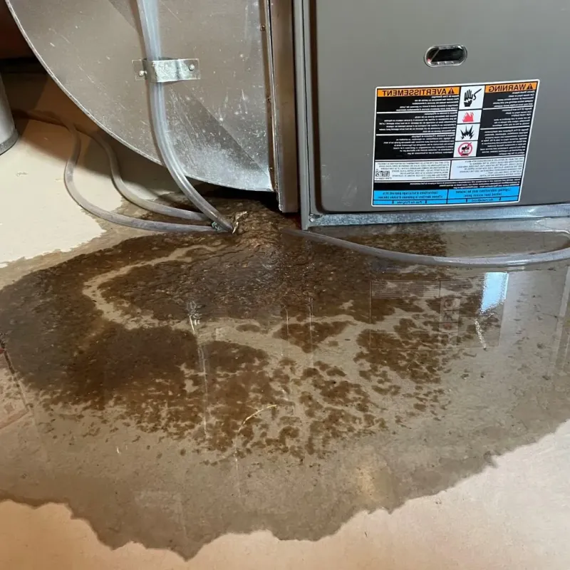 Pipe Burst and Leak Restoration in Winnebago County, IL