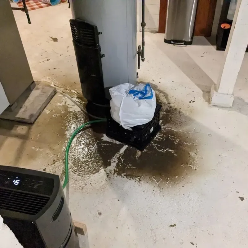 Sewage Backup Cleanup Service in Winnebago County, IL